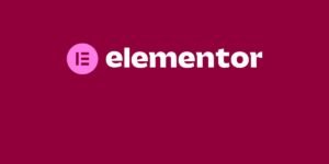 Elementor Reviews