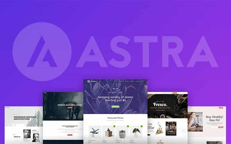 Key Features of Astra Theme