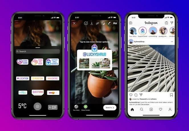 Instagram Growth Trends