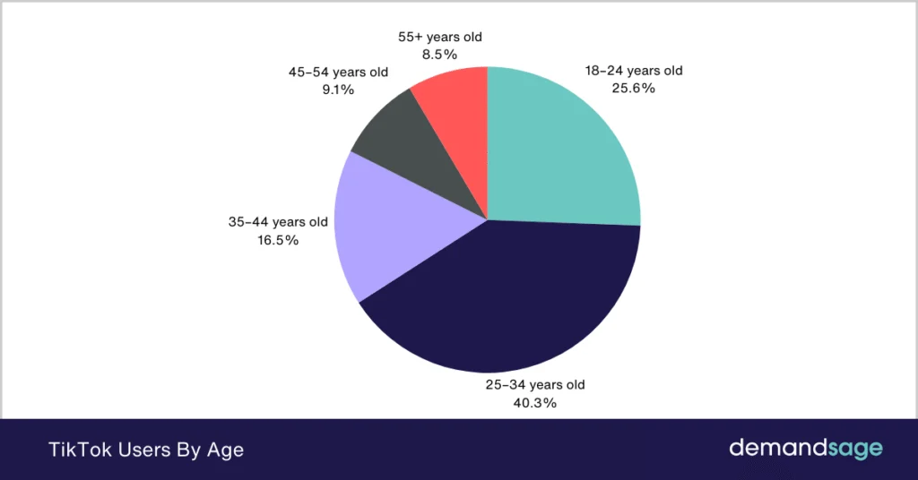 TikTok User Demographics